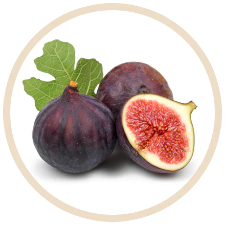 Feigenextrakt